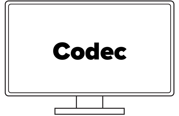 Capture to a range of codecs